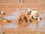 2014 National Guard Hurricane Mud Run Photos